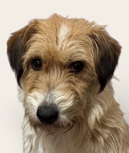 Du betrachtest gerade Caro