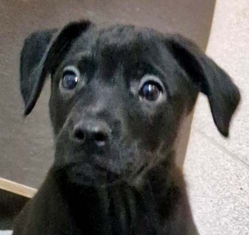 Du betrachtest gerade Gabriel