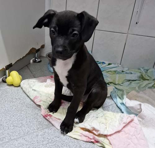 Du betrachtest gerade Lumiela