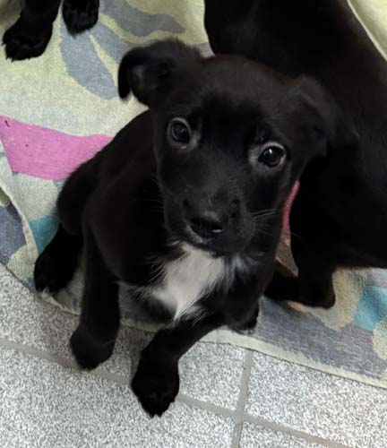 Du betrachtest gerade Serafina