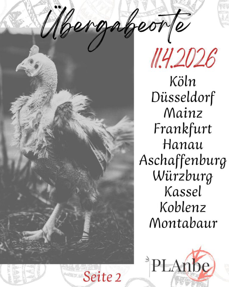 Hennerettung110426_2