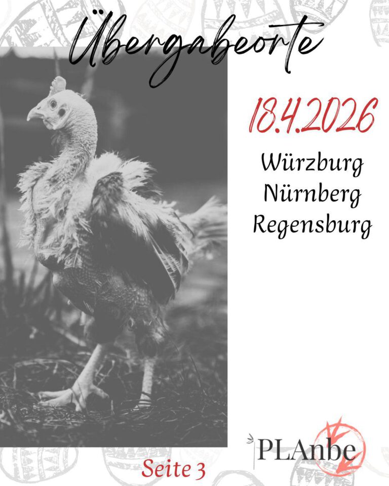 Hennerettung110426_3