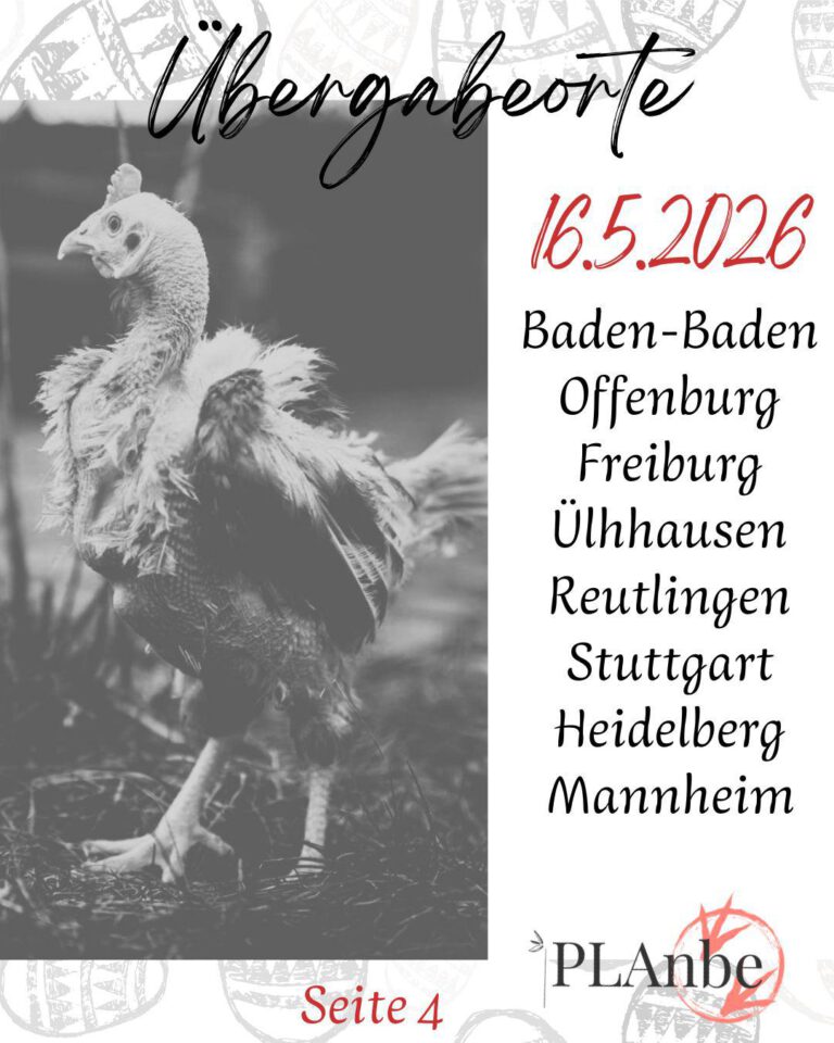 Hennerettung110426_4