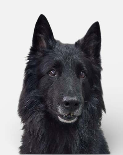 Du betrachtest gerade Daro