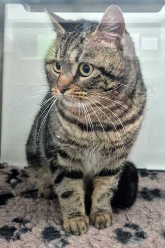 Du betrachtest gerade Leandro