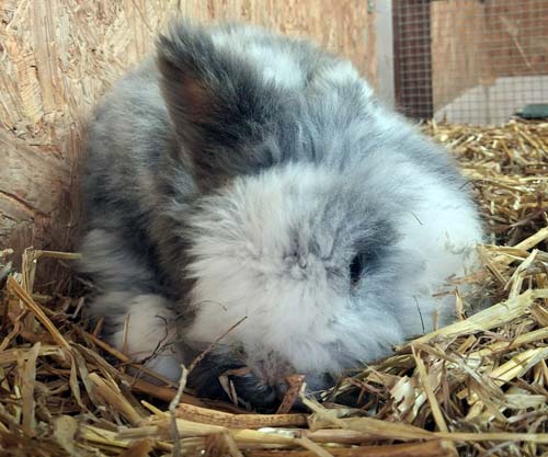 Du betrachtest gerade Bugs