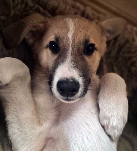 Du betrachtest gerade Klößchen – externe Vermittlung