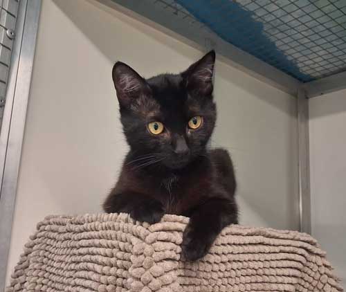 Du betrachtest gerade Brummi