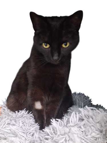 Du betrachtest gerade Luna