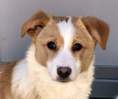 Du betrachtest gerade Kiki