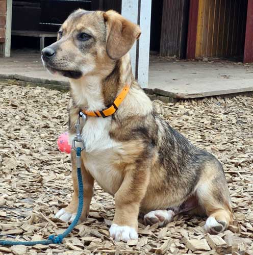 Du betrachtest gerade Kim