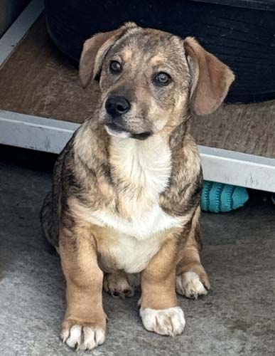 Du betrachtest gerade Kim