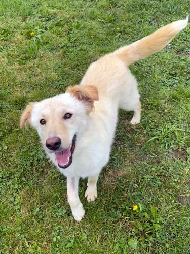 Du betrachtest gerade Elly – ext. Vermittlung