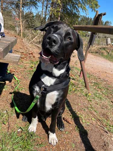 Du betrachtest gerade Pablo