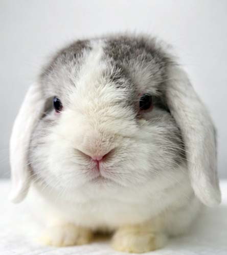 Du betrachtest gerade Meggie *RESERVIERT*